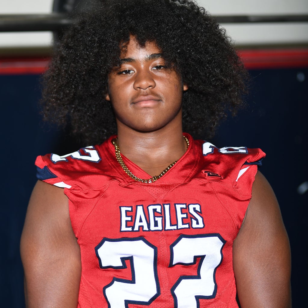 Main Brown mugshot