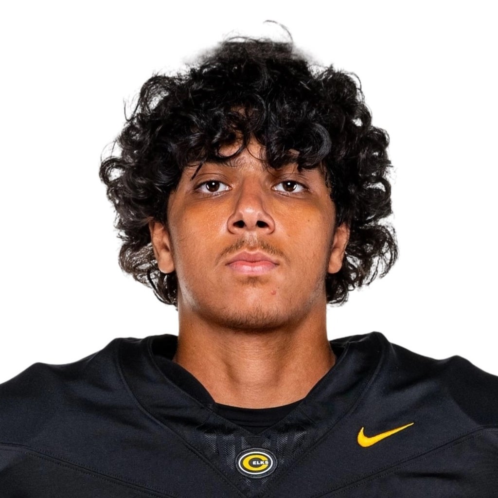 Sal Al'Nabaly mugshot