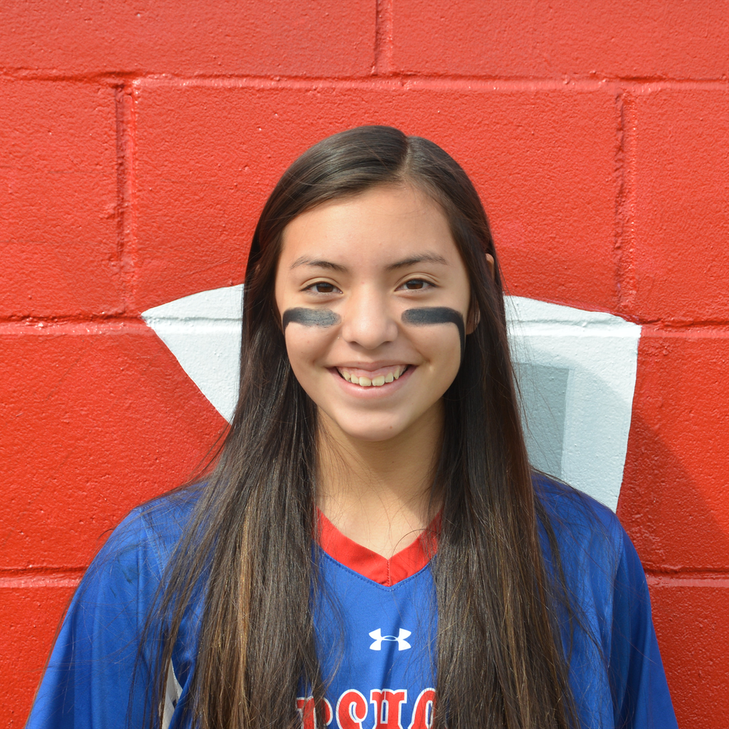Aspen Wesley mugshot