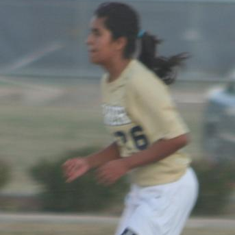 Ana Gonzalez mugshot