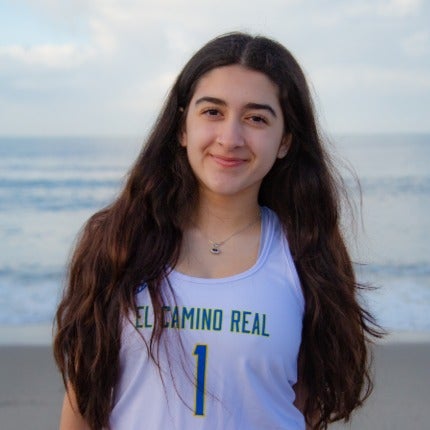 Kamelia Tashakor mugshot