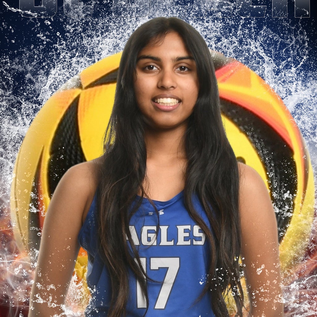 Anisha Tanikella mugshot