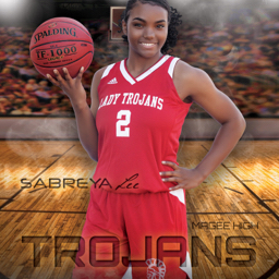 Sabreya Lee mugshot