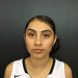 Cindy Diaz mugshot