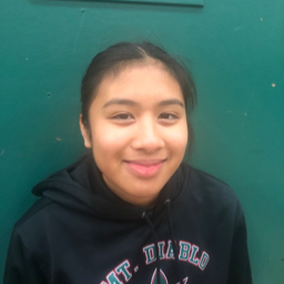 Dominique Inocencio mugshot