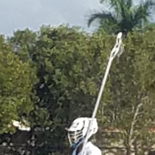 Mauricio Colon-bermudez