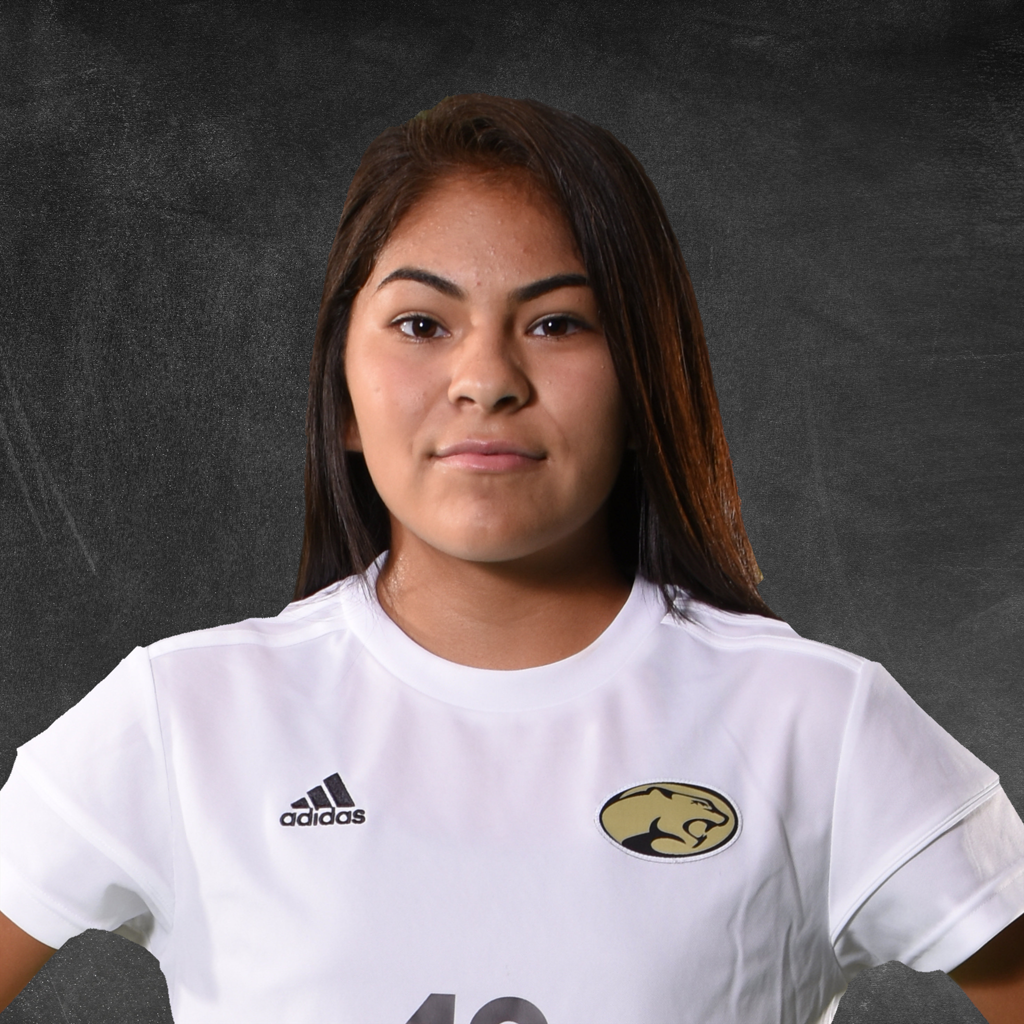 Aary Cano mugshot