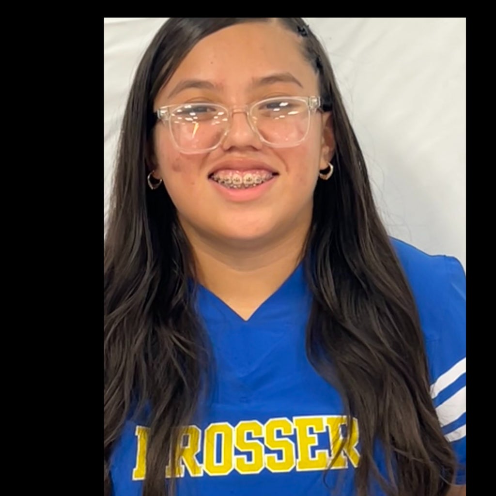 Alondra Silva mugshot