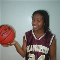 Karen Wilkins mugshot