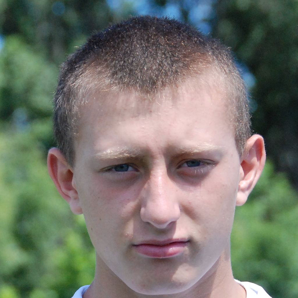 Andrew Petsche