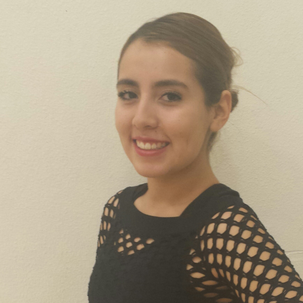 Brissa Rodriguez mugshot