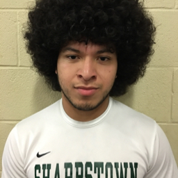 Gerson Hererra mugshot