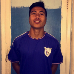 Homer Jonathan Santos mugshot