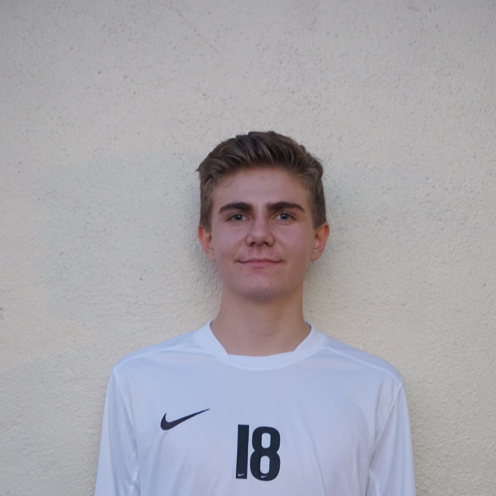 Aaron Milosevic mugshot