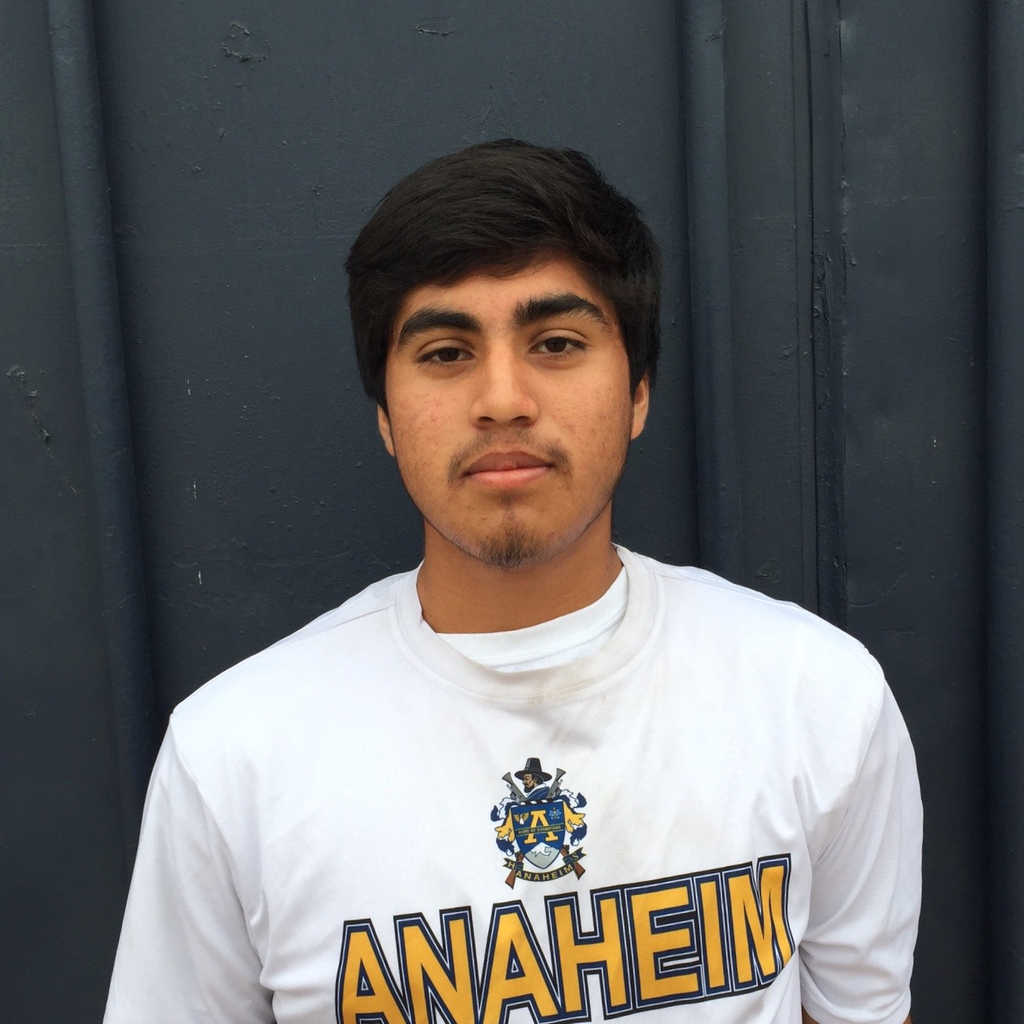 Luis Lara mugshot