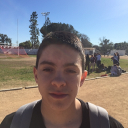 Roberto Ornelas mugshot