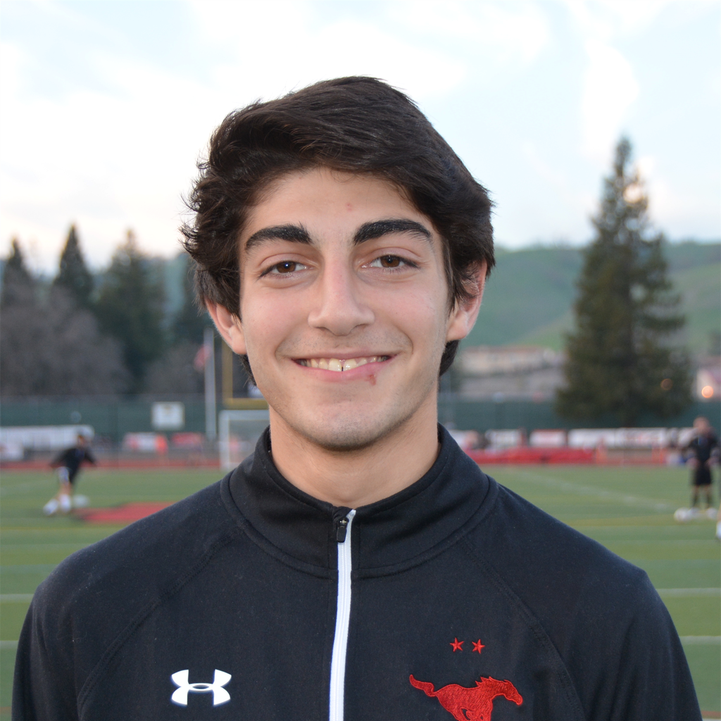Arian Mogharei mugshot