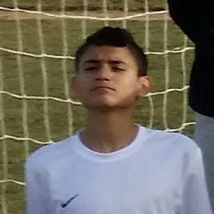 Nathan Prado
