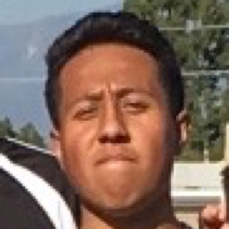 Luis Estrada