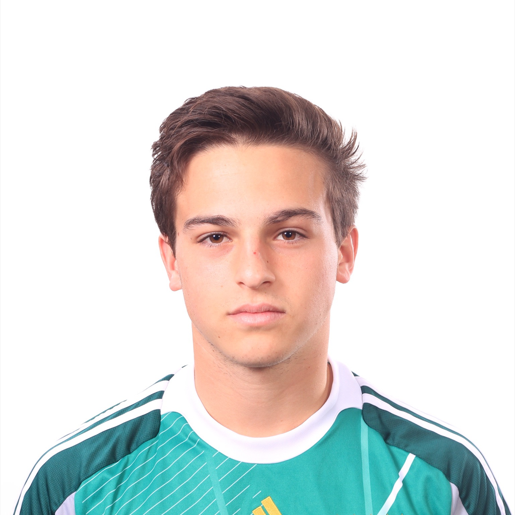 Nick Briguglio mugshot