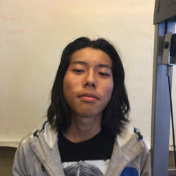 Leslie Zhou mugshot