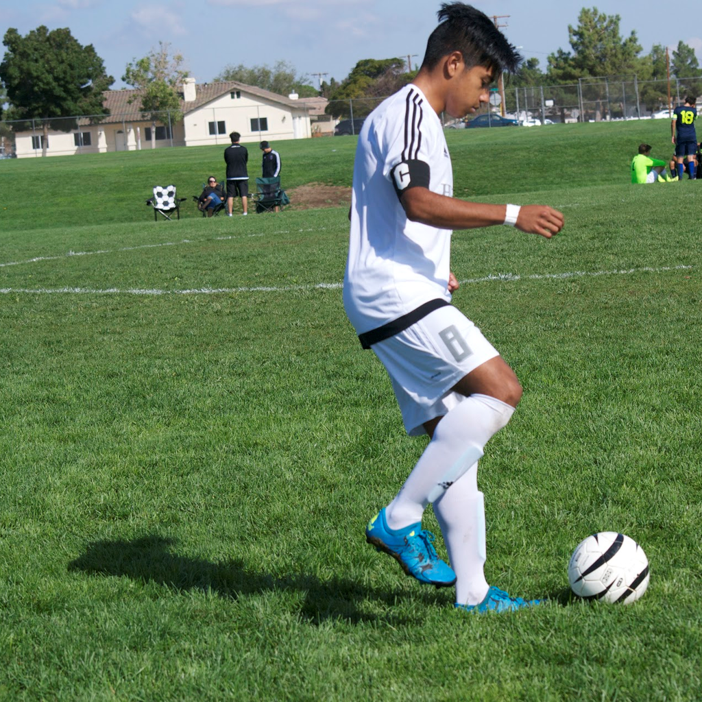 Michael Zamora