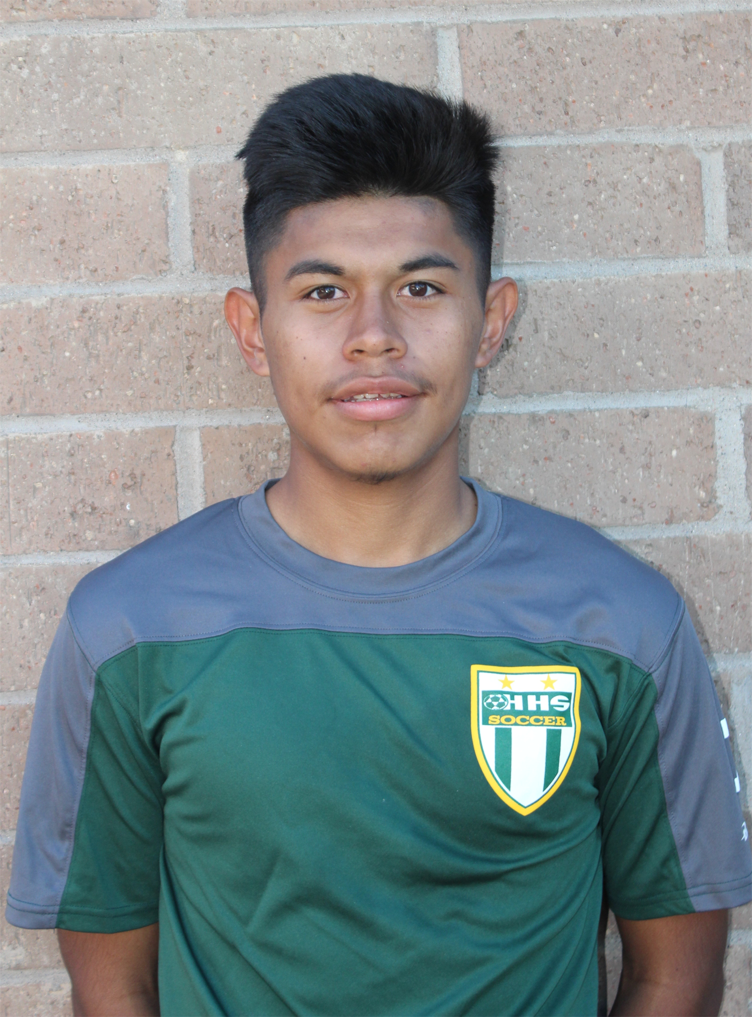Hernan Ibarra