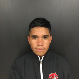 Diego Albares mugshot