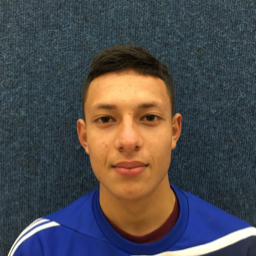 Jaime Ulloa