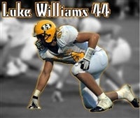 Luke Williams