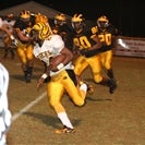 Brandon Satchell