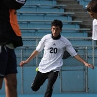 Shane Ciacci