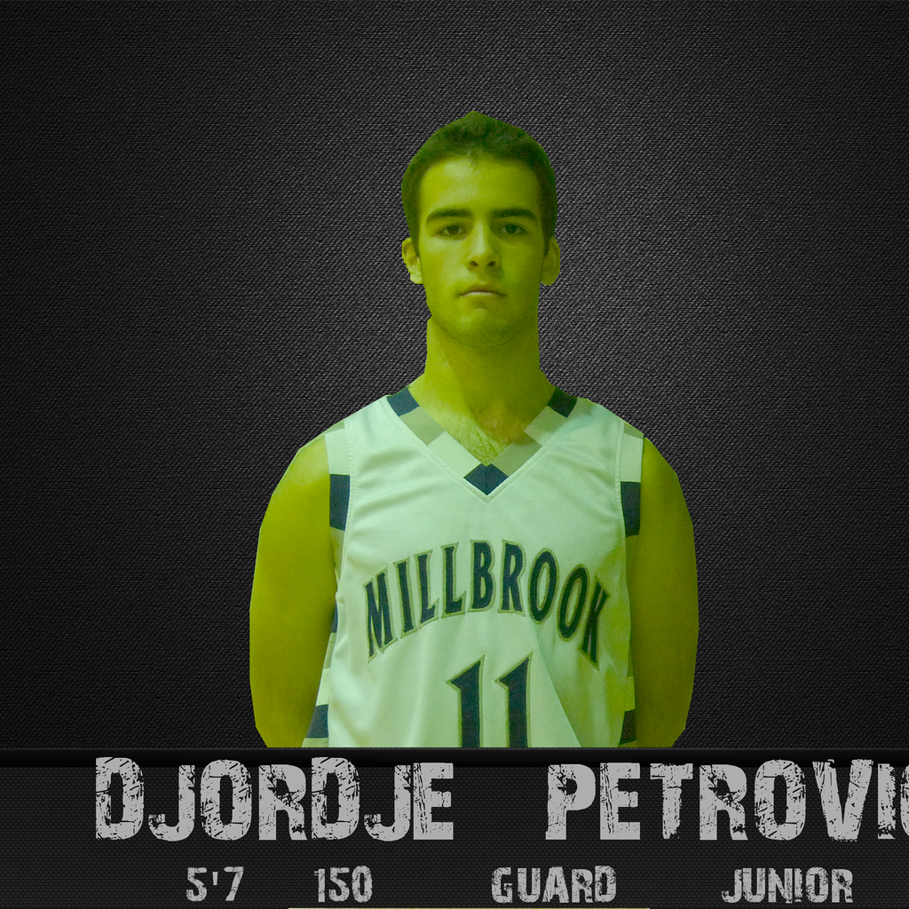 Djordje Petrovic mugshot