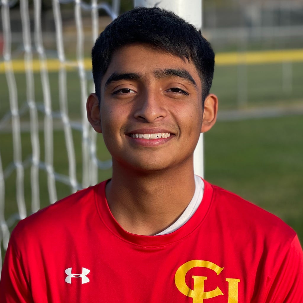 Diego  Castillo mugshot