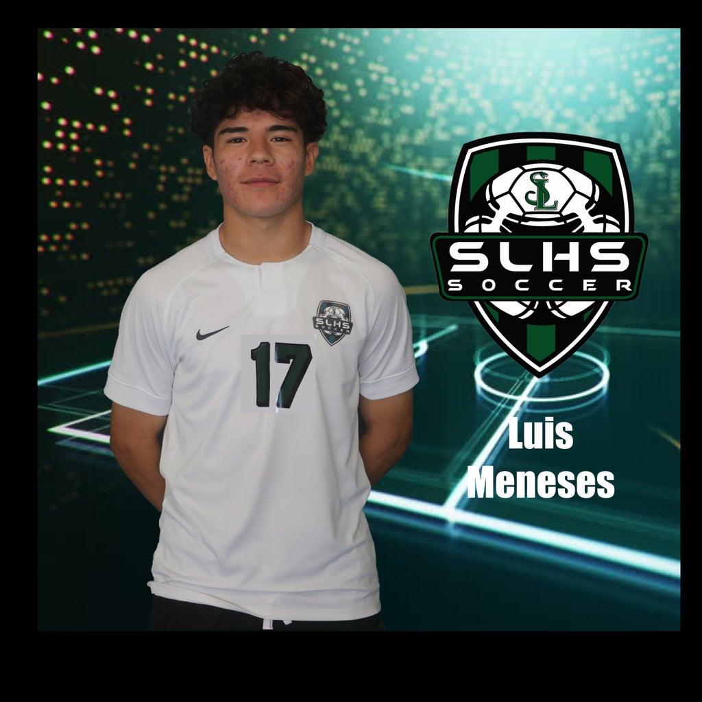 Luis Paul Meneses mugshot