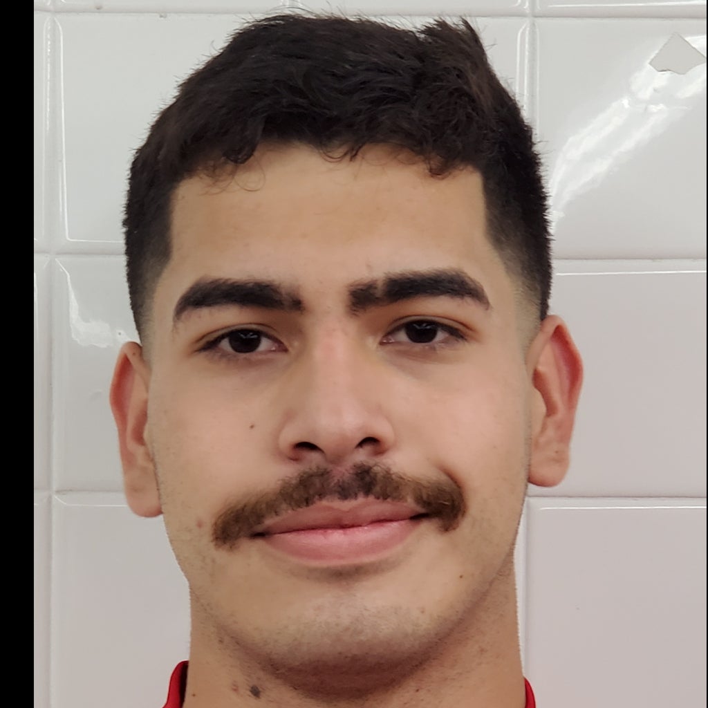 Dillan Mendoza mugshot