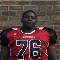 Christin Wilkins
