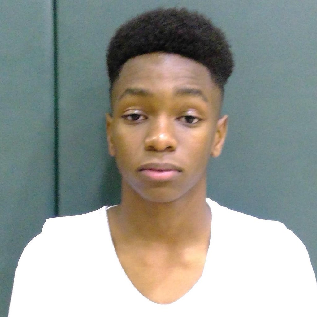 Pj Moise mugshot