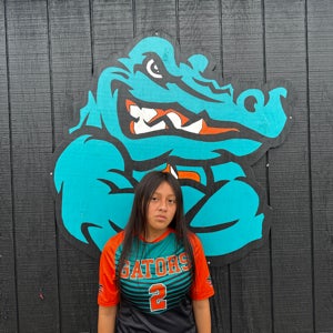 Natalia Chirinos mugshot