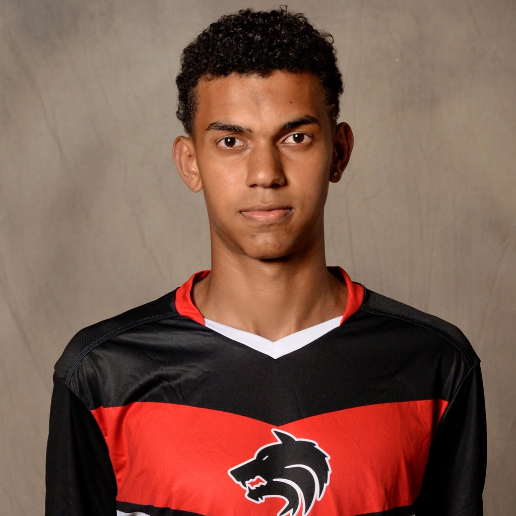 Henrique Fortunato de Araujo Silva