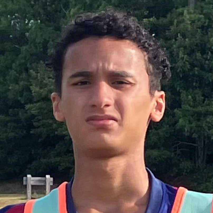 Raphael Alves mugshot