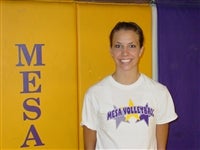 Heidi Brinton