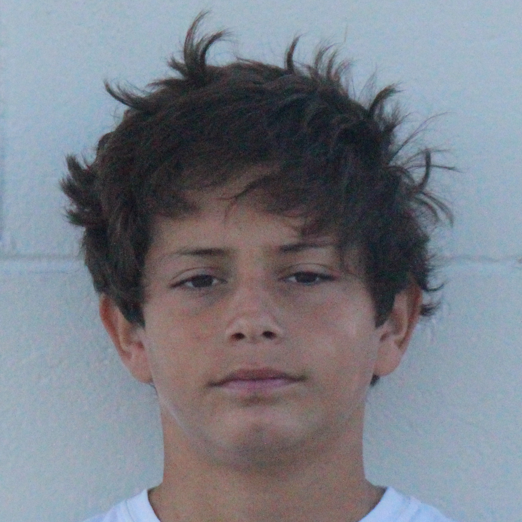 Tanner Lewallen mugshot