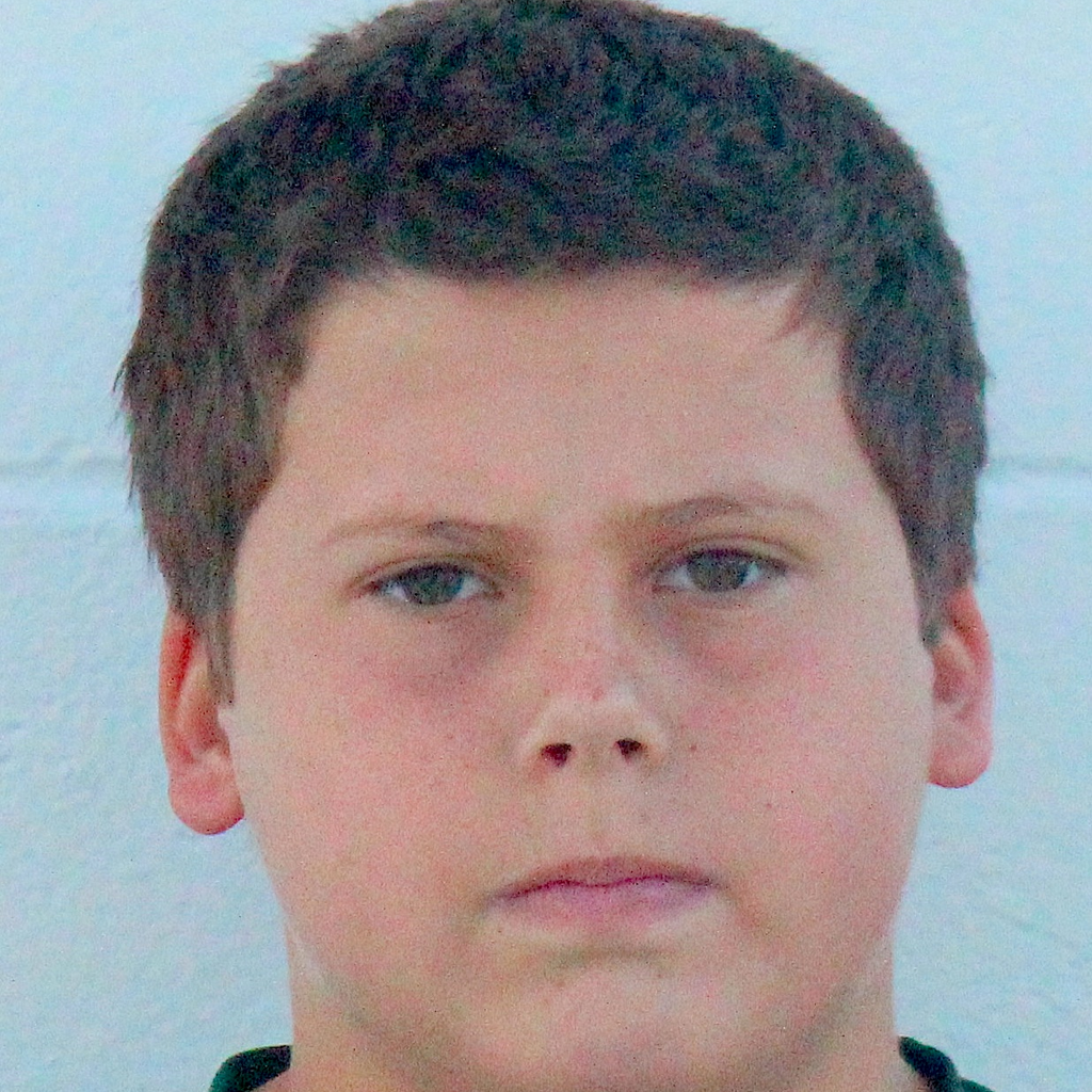 Frankie Fleisher mugshot