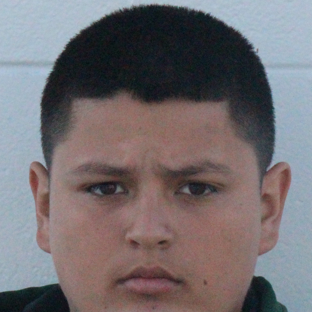 Noe  Martinez mugshot