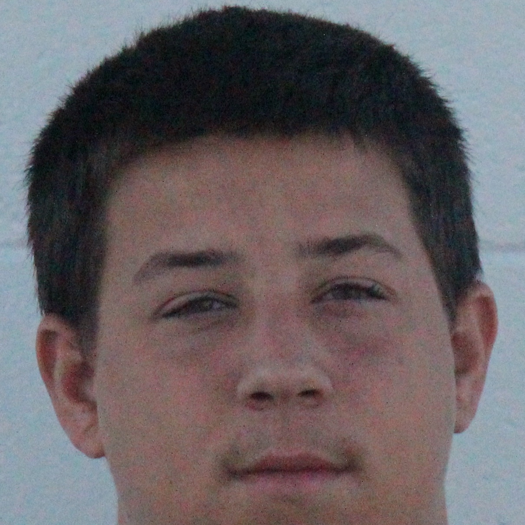 Michael Andrews mugshot