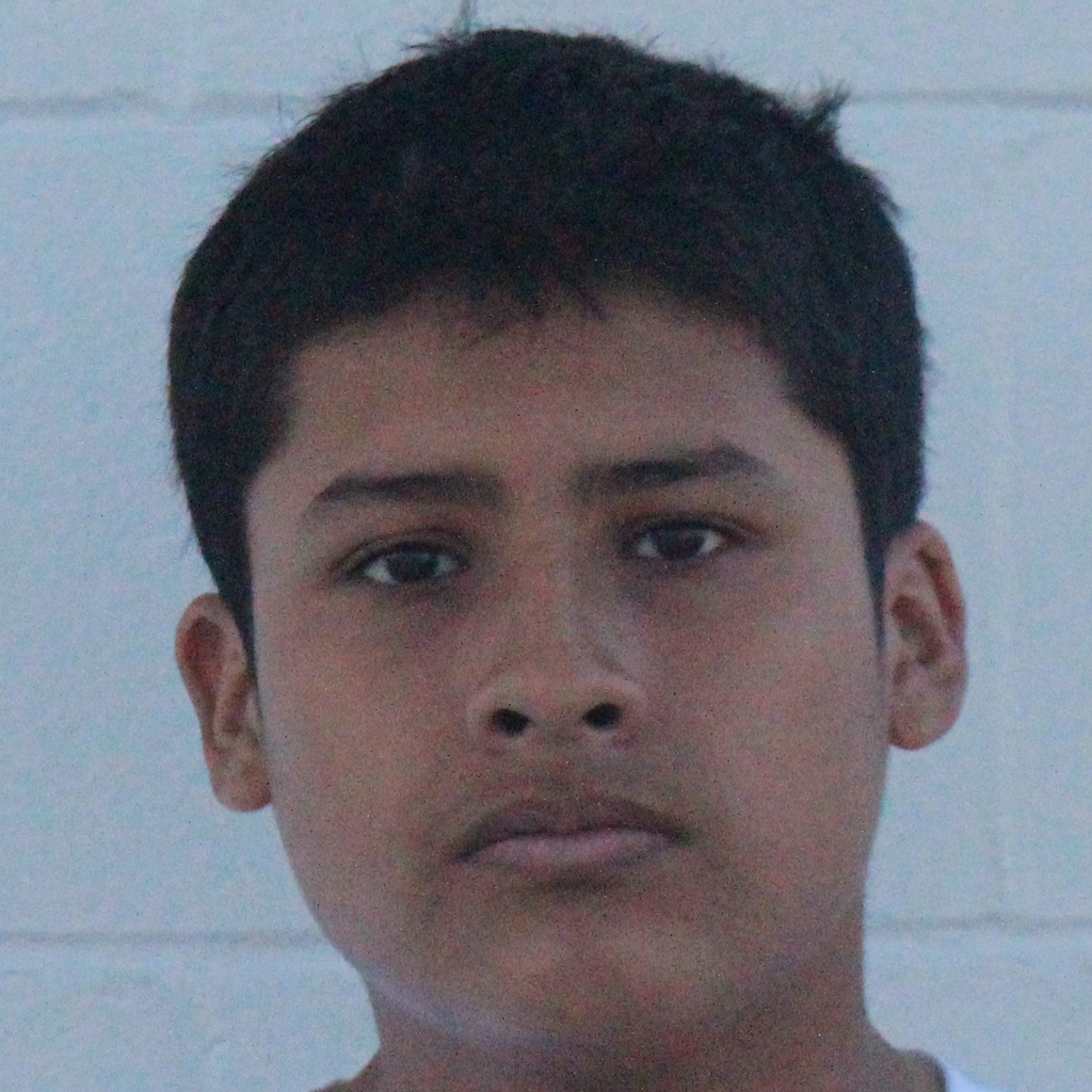 Angel Ynfanzon mugshot