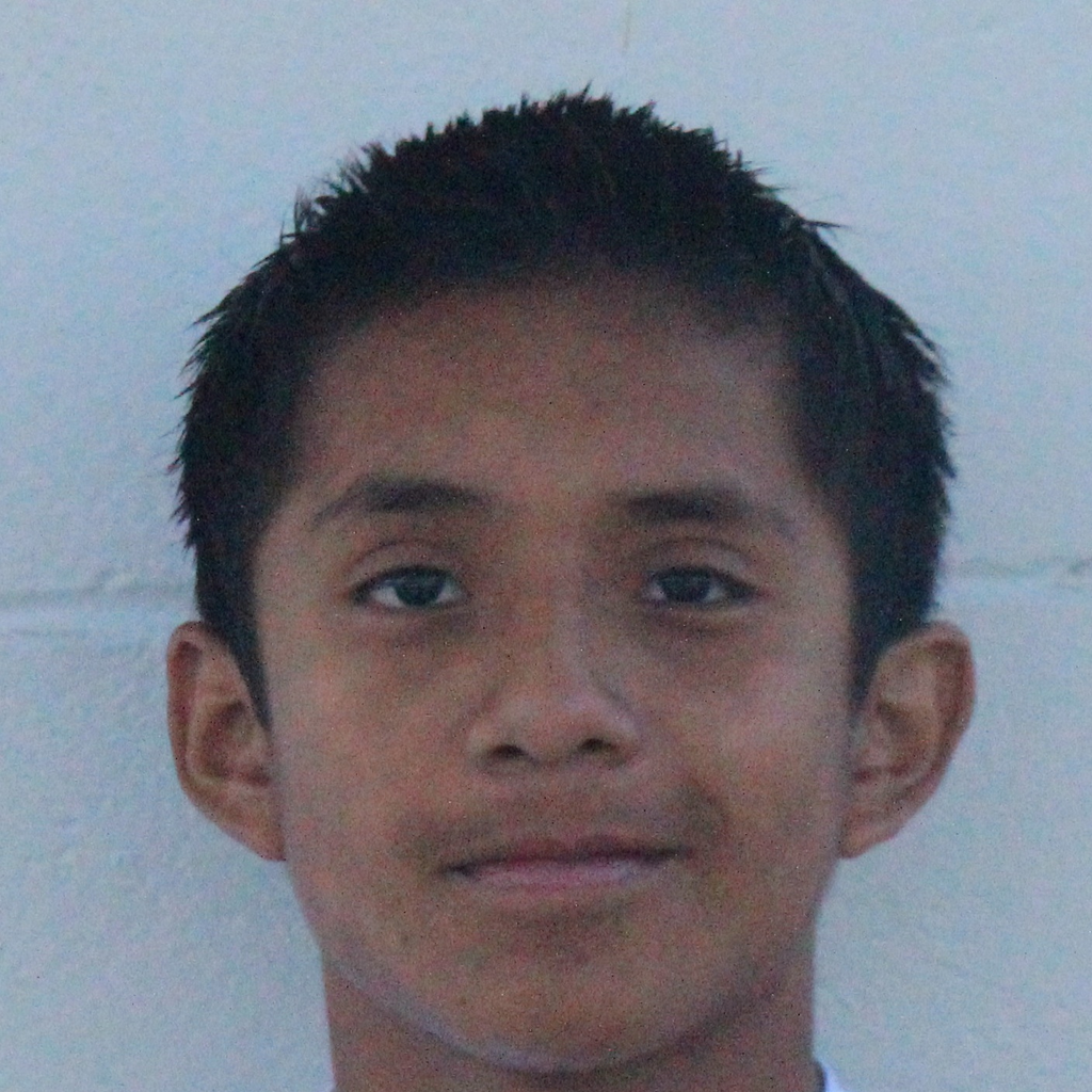Louis Roa mugshot