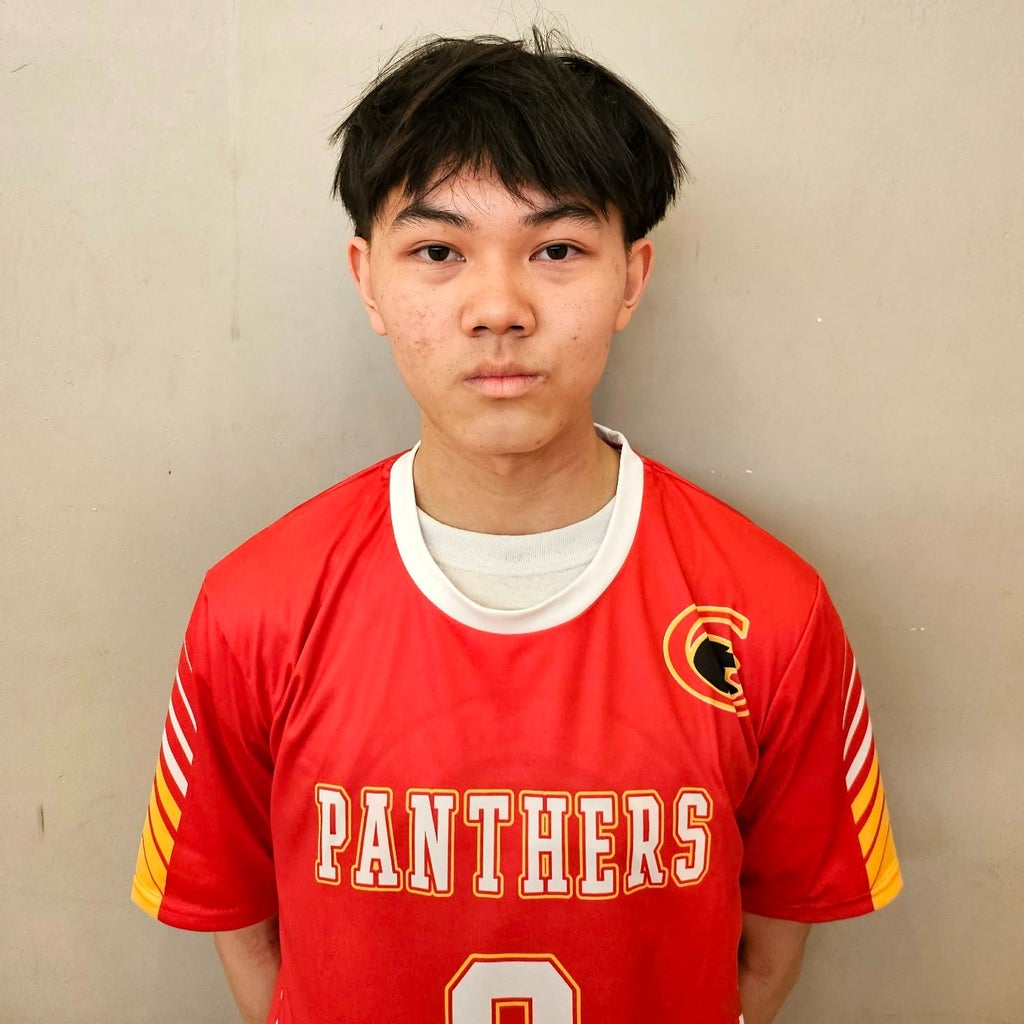 Vincentt Her mugshot