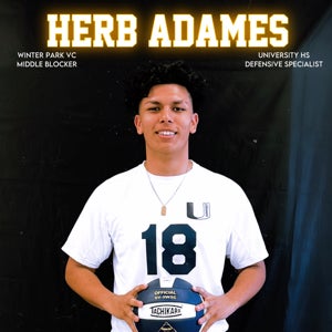 Heberth Adames mugshot